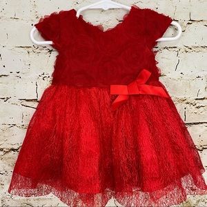 Christmas/ Valentines Dress, Roses & Lace Beautiful for Your Little Girl